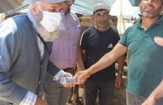 Pet şişe ile ilginç kurban pazarlığı