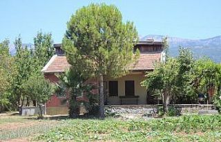 Pınar Gültekin’in öldürdüğü evin içi görüntülendi