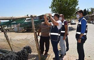 Polis, Besni’de kurban satıcılarını sahte paraya...