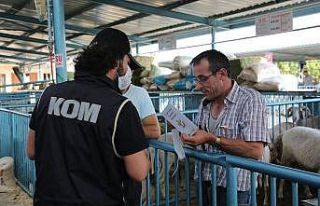 Polis ekipleri, dolandırıcılara karşı hayvan...