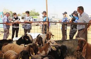 Polisin verdiği sahte parayı kontrol etmeden aldılar