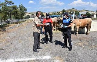 Polislerden hayvan pazarında denetim