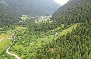 Rize’de alternatif turizm merkezleri mercek altına...