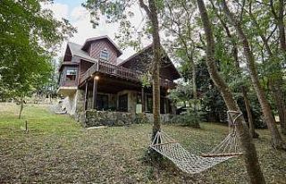 Salgın sonrası milenyum kuşağı özgür çalışma...