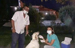 Salihli’de av köpekleri aşılandı