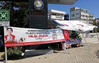 Salihli’de Kızılay kurban bağış çadırı kurdu