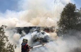 Saman balyaları yandı