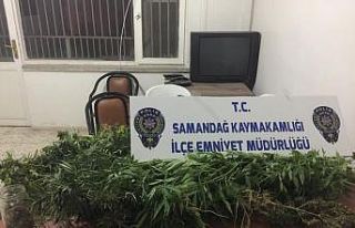 Samandağ’da uyuşturucu operasyonu