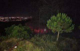 Sanayi içindeki ormanlık alanda çıkan yangın...