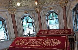 Sanduka örtüsü puşideler koruma altında