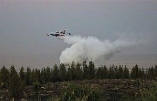 Şanlıurfa’daki orman yangını kontrol altına...