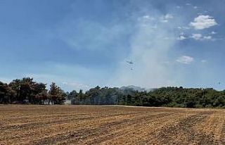 Saros Körfezinde orman yangını