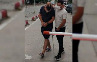 Satışa hazır bonzai ile yakalanan şahıs tutuklandı