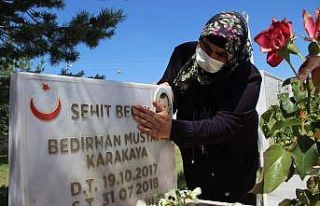 Şehit Bedirhan bebek ve annesi mezarı başında...