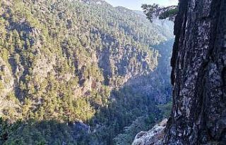 Seydikemer’de kayalıklardan uçuruma düşen kişi...