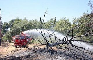 Sıcak sebebiyle aşırı yüklenen trafo yangına...