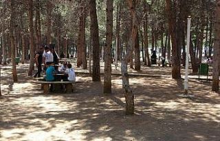 Sıcaktan bunalanlar piknik alanlarına akın etti