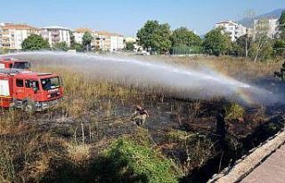 Sigara izmariti yangın çıkardı, Paşa Çiftliği...