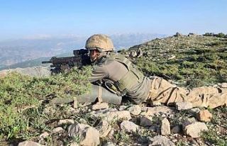 Siirt’te 1 terörist etkisiz hale getirildi