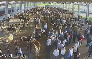 Silahlı saldırıya uğrayan oda başkanı evinde...