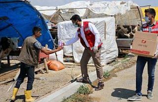 Sincan’da kurban pazarları hazırlandı, kurbanlık...