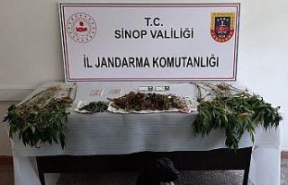 Sinop’ta uyuşturucu operasyonu