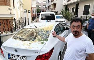 Şişli’de çürüyen ağaç böyle devrildi