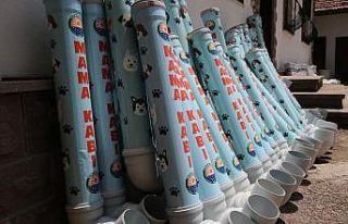 Sokak hayvanları yeni mama kaplarına kavuştu