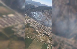 Söke Sazlıköy’de orman yangını çıktı