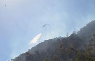 Söke’deki yangına 4 helikopter, 20 arazöz müdahale...