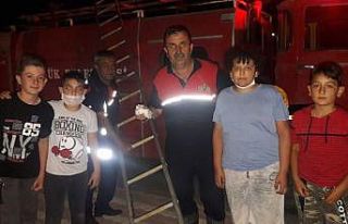 Su kanalına düşen yaralı güvercin kurtarıldı