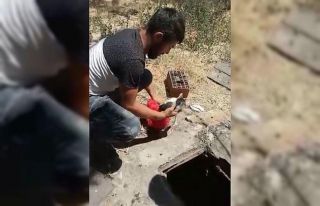 Su kuyusuna düşen küçük kediyi itfaiye ekipleri...