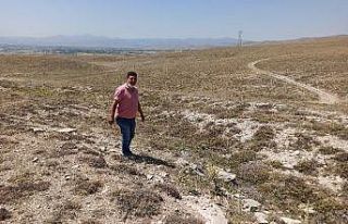 Şuhut’ta Kurtuluş Savaşı dönemine ait siperler...