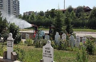 Talas Kurban Bayramı’na hazır