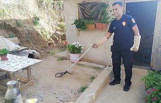 Tandıra giren yılan itfaiye ekiplerini harekete...