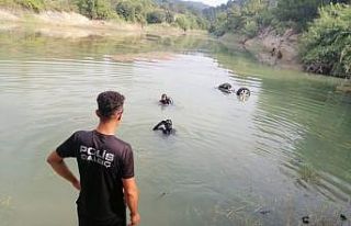 Tansiyonu düşen sürücü otomobiliyle göle uçtu