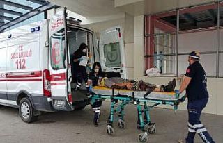 Tarım işçilerini taşıyan traktör devrildi: 14...