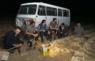 Tarlada sarımsak nöbeti