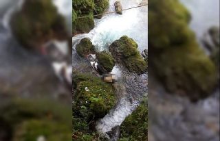 Tarsus Şelalesi’nde ceset bulundu