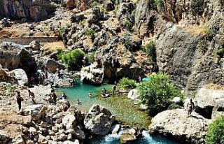 Tatilcilerin yeni rotası: Sinek Çayı