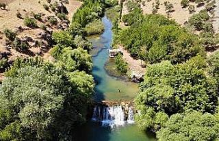 Tatile çıkamayan vatandaşlar Çeme Reş’e koştu