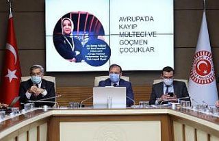 TBMM İnsan Haklarını İnceleme Komisyonu, Avrupa’daki...