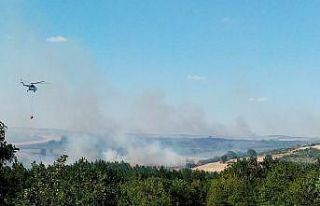 Tekirdağ’da orman yangını: Havadan ve karadan...