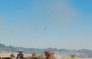 Tekirdağ’daki orman yangını ot makinesinden çıkmış