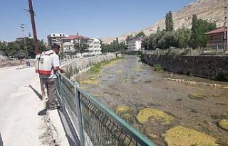 Tohma Çayı’nda ilaçlama yapıldı