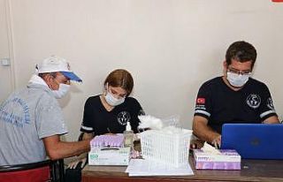 Toroslar Belediyesi çalışanları sağlık taramasından...