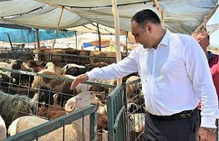 Toroslar Belediyesi, kurban satış ve kesim yerleri...