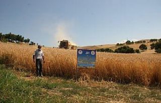 Tunceli’de tarla günü etkinliği