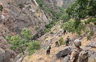 Tunceli’de “Yıldırım-4 Munzur-Kutu” operasyonu
