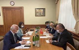 Türk doktorlar, Covid-19 ile mücadeleye destek için...